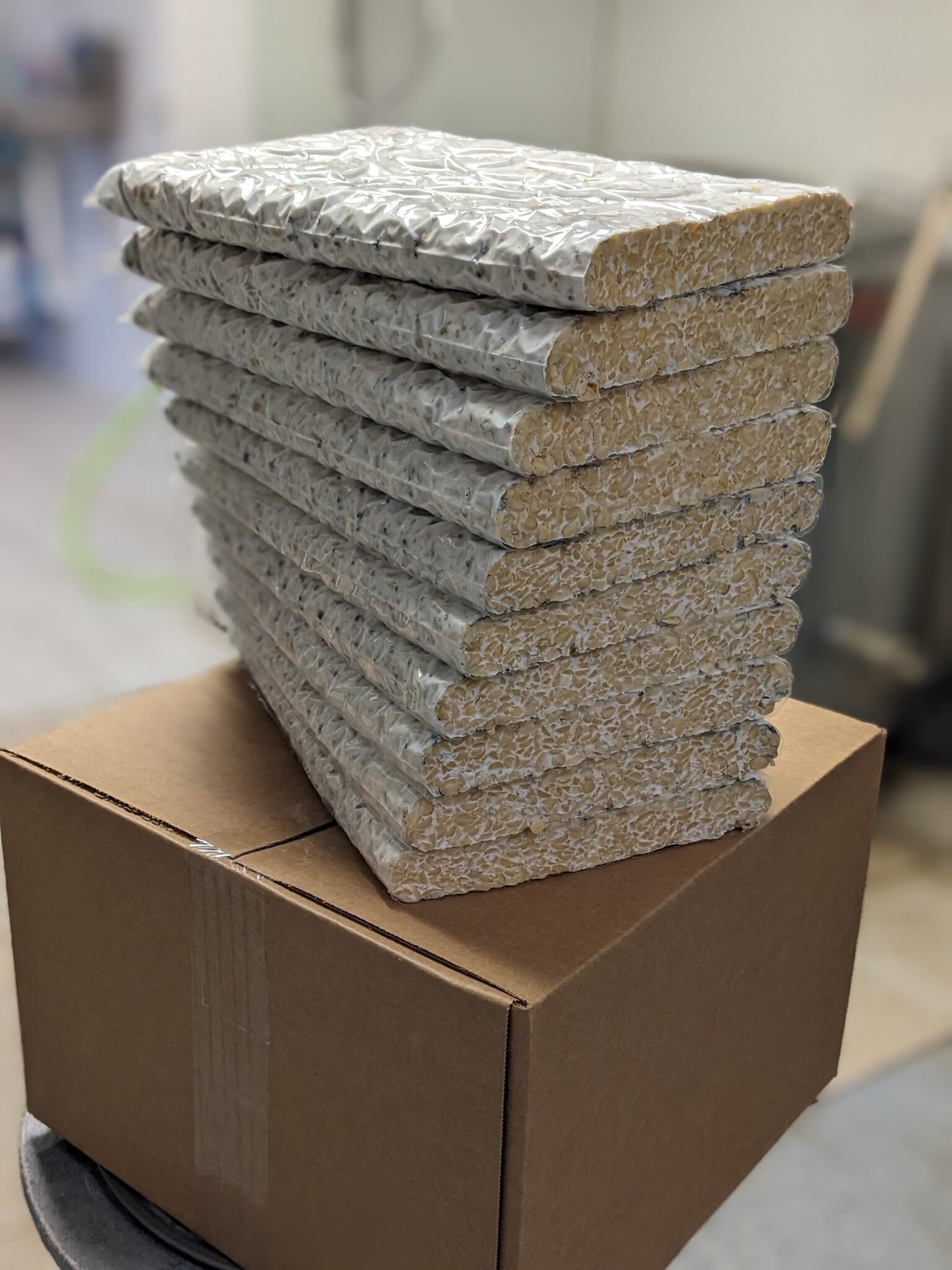 The Tempeh Shop Wholesale Bulk Tempeh